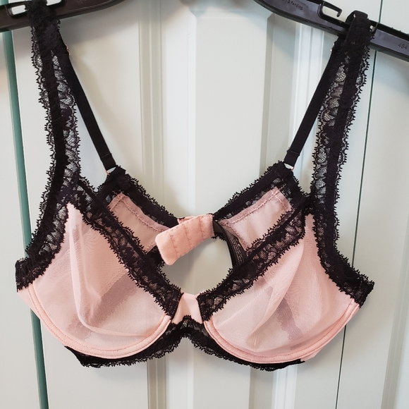 Natori Other - Natori Speechless Sheer Underwire BraSpeechless